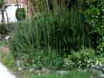 Copy of DSC02899
